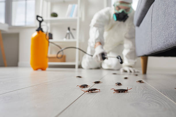 Trusted Fumigation Services service in Fayetteville, GA - Nex Pest Control