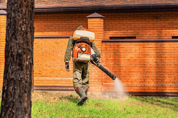 Trusted Emergency Pest Control service in Fayetteville, GA - Nex Pest Control